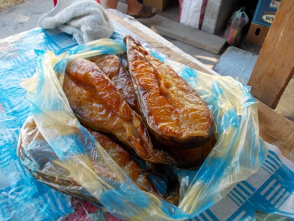 yamy - 10000924429182491483851469944938n.jpg